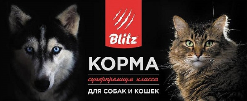 Новинка - влажные корма Blitz!