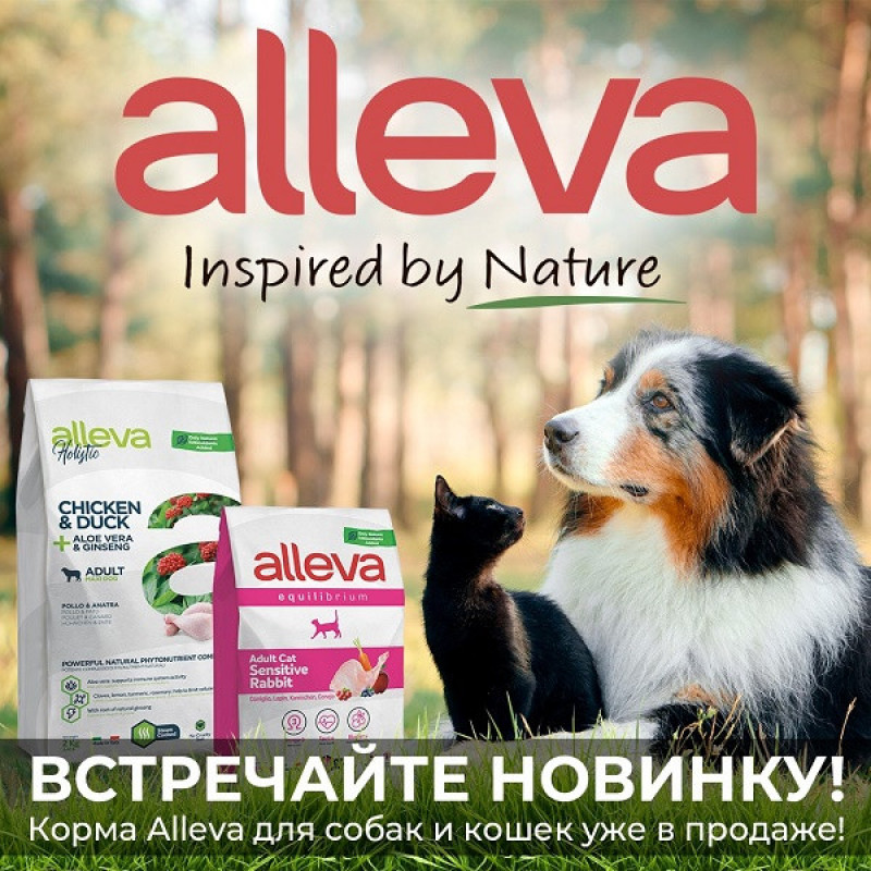 Новинка - сухие корма Alleva!