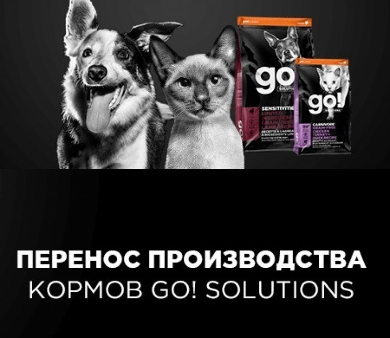 Снижение цены GO Solutions!