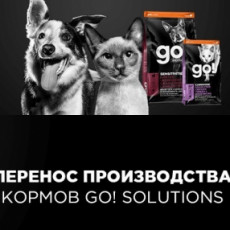 Снижение цены GO Solutions!