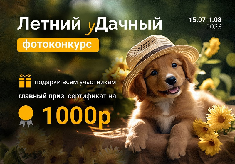 уДачный фотоконкурс!