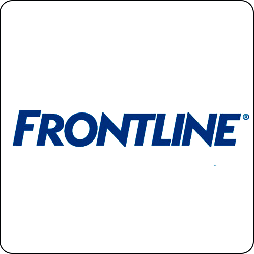 Frontline