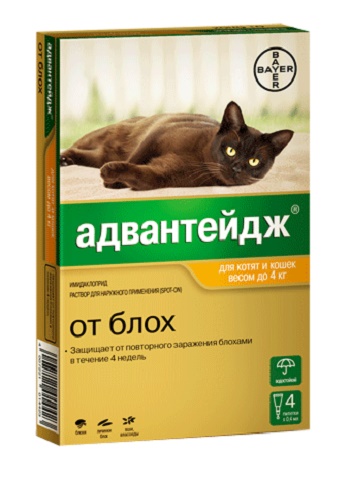 Bayer Advantage капли от блох для кошек весом менее 4 кг