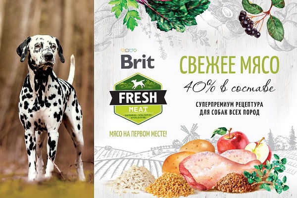 Новинка - сухие корма Brit Fresh!