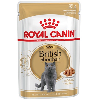 Royal Canin British Shorthair влажный корм для кошек в соусе (14 шт.)