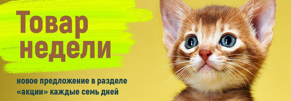 images/slider/178634153195.jpg