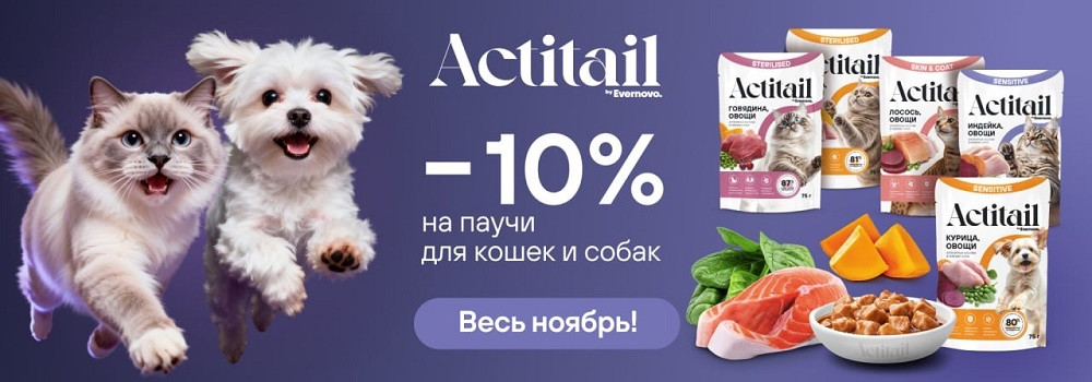 Скидка 10% на корма Actitail!