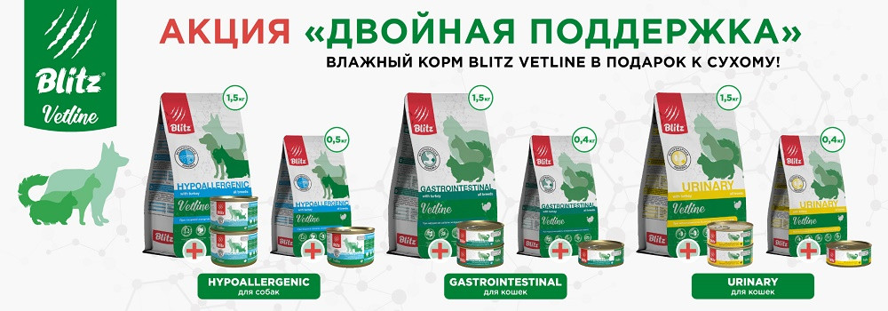 Подарок при покупке диетического Blitz!