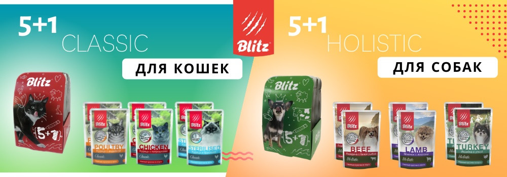 Промо-наборы паучей Blitz!