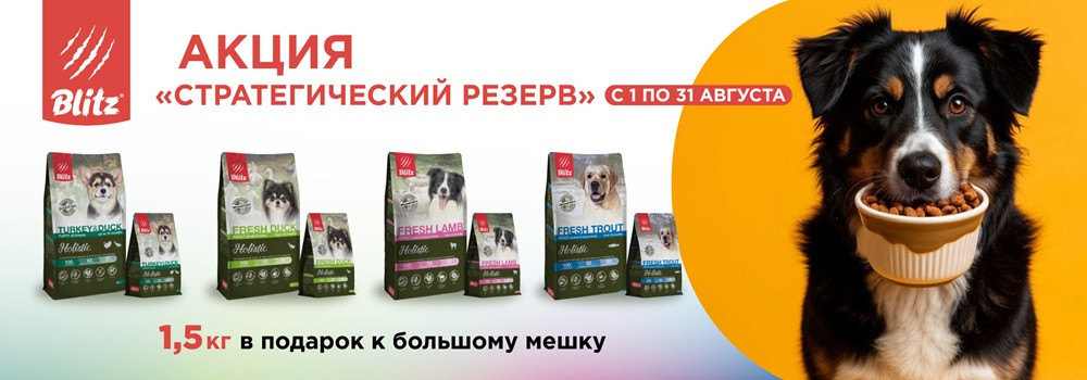 Подарок при покупке Blitz Holistic для собак!