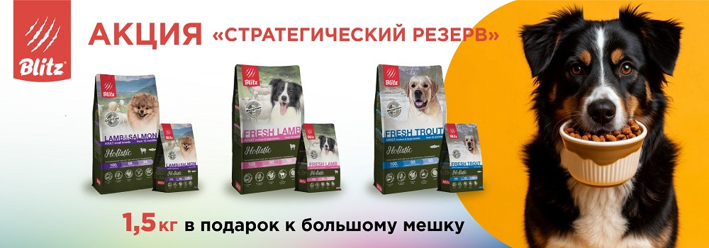 Подарок при покупке Blitz для собак!
