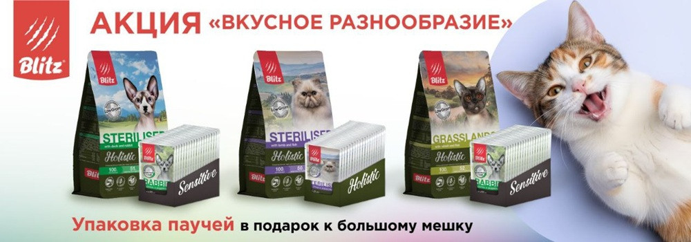 Подарок при покупке Blitz для кошек!