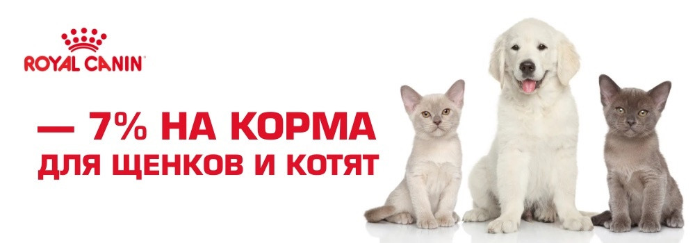 Скидка 7% на Royal Canin для щенков и котят!