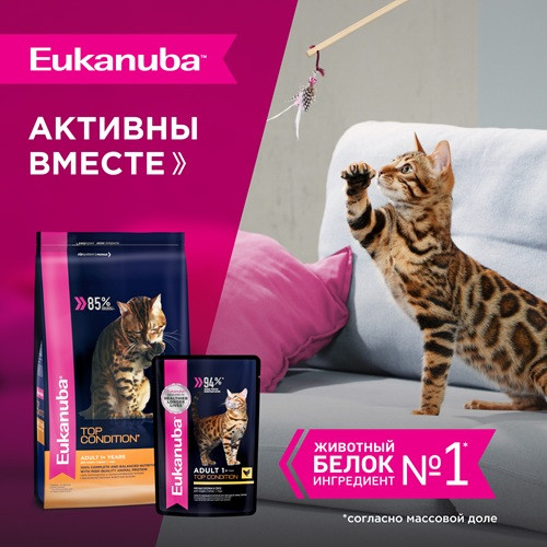 Eukanuba Adult Top Condition сухой корм для взрослых кошек