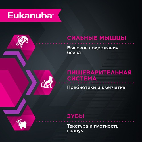 Eukanuba Kitten Healthy Start сухой корм для котят