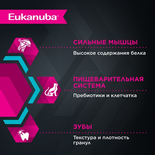 Eukanuba Senior Top Condition сухой корм для взрослых кошек старше 7 лет