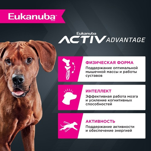 Eukanuba Adult Large Breed сухой корм для взрослых собак крупных пород
