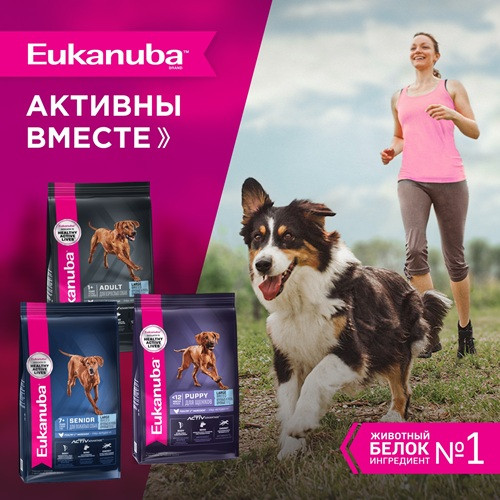 Eukanuba Adult Large Breed сухой корм для взрослых собак крупных пород