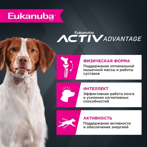 Eukanuba Adult Medium Breed сухой корм для взрослых собак средних пород