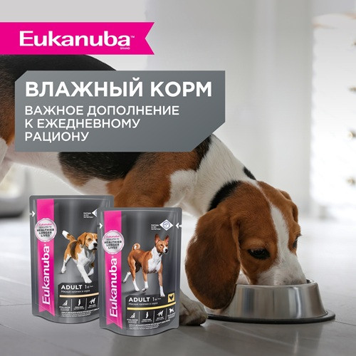 Eukanuba Adult Medium Breed сухой корм для взрослых собак средних пород