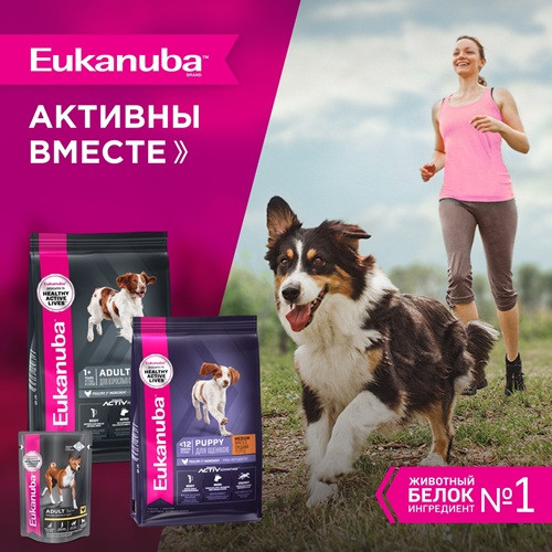 Eukanuba Adult Medium Breed сухой корм для взрослых собак средних пород