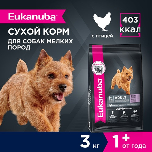 Eukanuba Adult Small Breed сухой корм для взрослых собак мелких пород