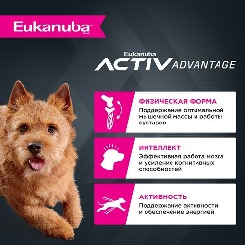 Eukanuba Adult Small Breed сухой корм для взрослых собак мелких пород