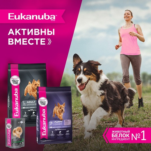 Eukanuba Adult Small Breed сухой корм для взрослых собак мелких пород