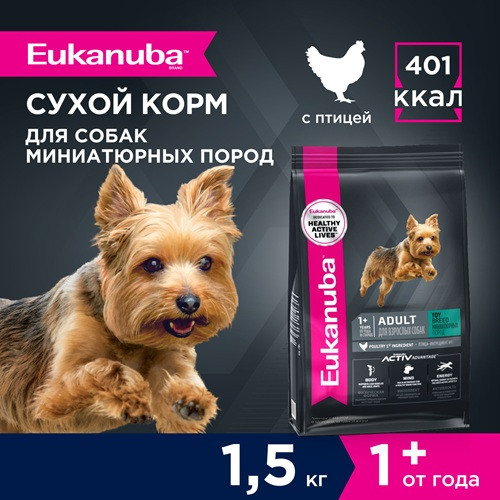 Eukanuba Adult Toy Breed сухой корм для взрослых собак миниатюрных пород