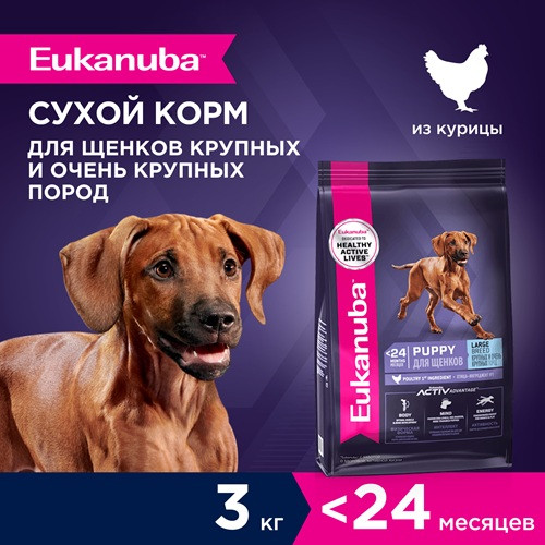 Eukanuba Puppy Large Breed сухой корм для щенков крупных пород