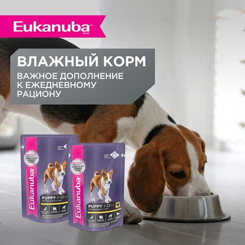 Eukanuba Puppy Large Breed сухой корм для щенков крупных пород