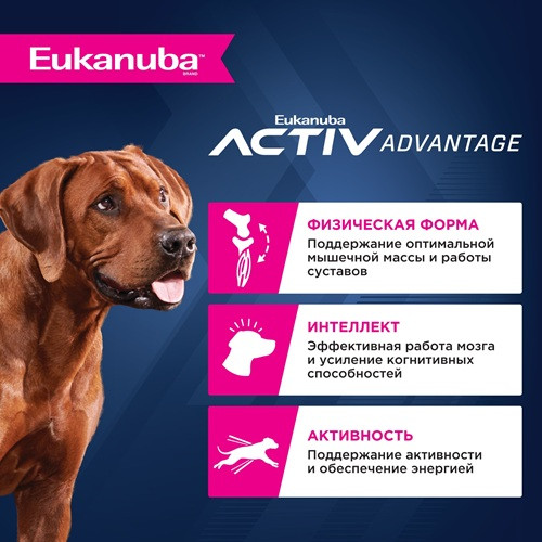 Eukanuba Senior Large Breed сухой корм для пожилых собак крупных пород