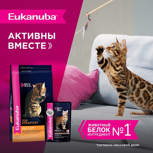 Eukanuba Adult Top Condition влажный корм для взрослых кошек Лосось