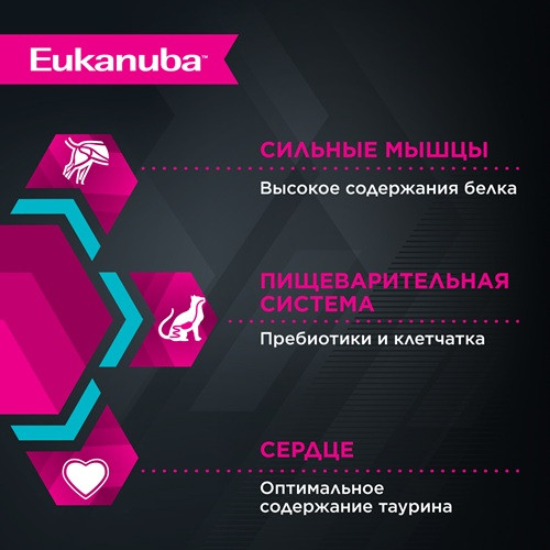 Eukanuba Senior 7+ Top Condition влажный корм для кошек старше 7 лет Курица