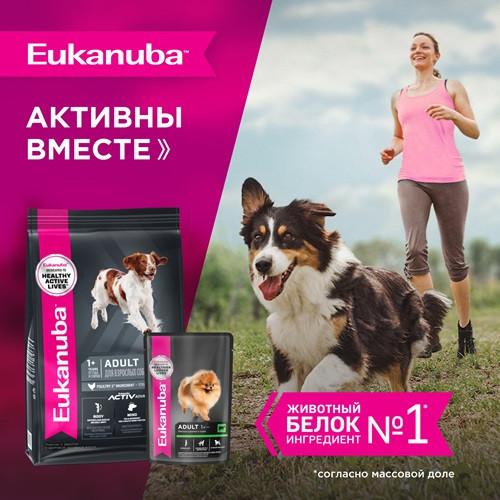 Eukanuba Adult влажный корм для собак всех пород Говядина