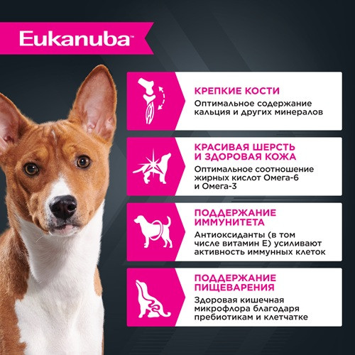 Eukanuba Adult влажный корм для собак всех пород Курица