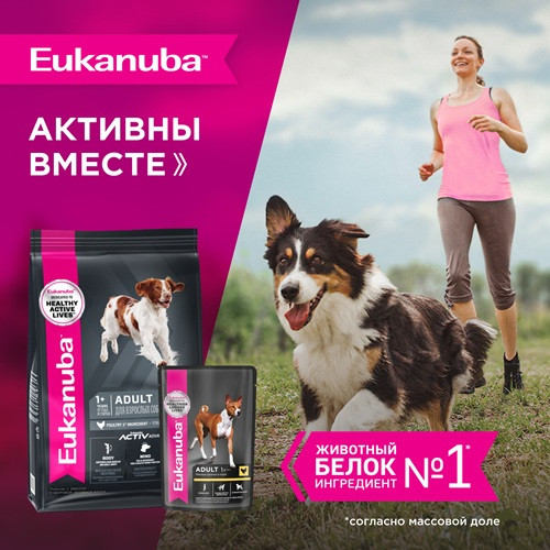 Eukanuba Adult влажный корм для собак всех пород Курица