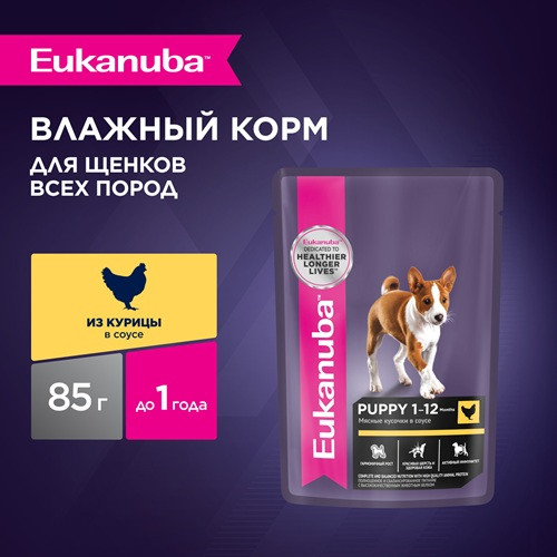 Eukanuba Puppy влажный корм для щенков всех пород