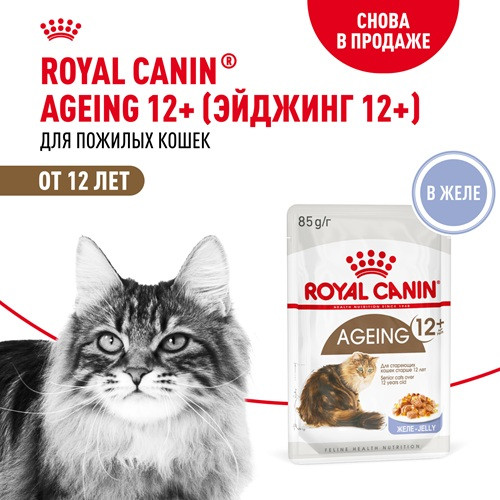 Royal Canin Ageing 12+ влажный корм для кошек в желе