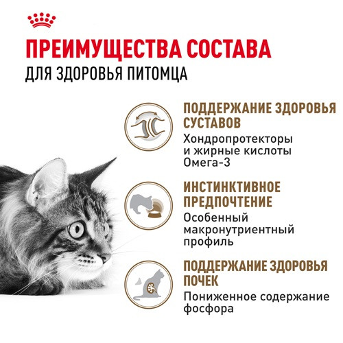 Royal Canin Ageing 12+ влажный корм для кошек в желе