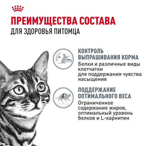 Royal Canin Appetite Control Care влажный корм для кошек в желе