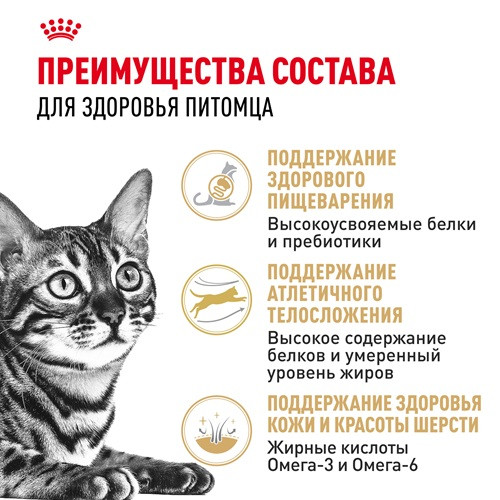 Royal Canin Bengal Adult сухой корм для кошек породы бенгальская