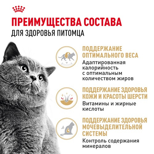 Royal Canin British Shorthair влажный корм для кошек в соусе