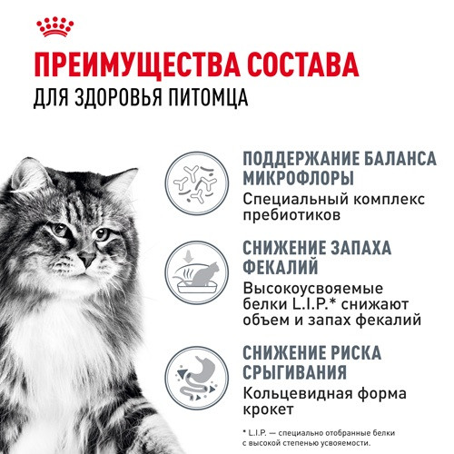 Royal Canin Digestive Care сухой корм для кошек с чувствительным пищеварением