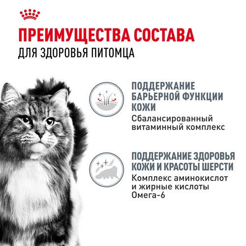 Royal Canin Hair&Skin Care влажный корм для кошек в соусе