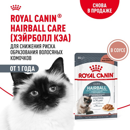 Royal Canin Hairball Care влажный корм для кошек в соусе