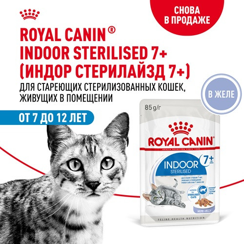 Royal Canin Indoor 7+ Sterilised влажный корм для кошек в желе