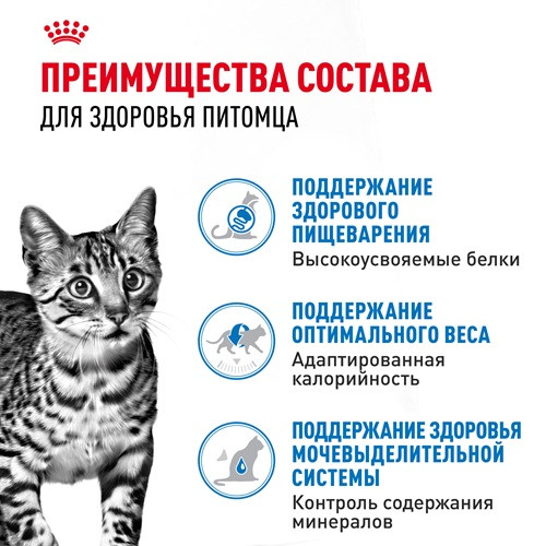 Royal Canin Indoor Sterilised влажный корм для кошек паштет