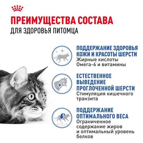 Royal Canin Indoor Long Hair сухой корм для домашних кошек