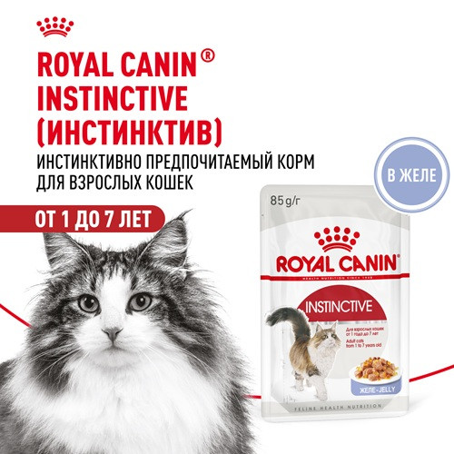 Royal Canin Instinctive влажный корм для кошек в желе